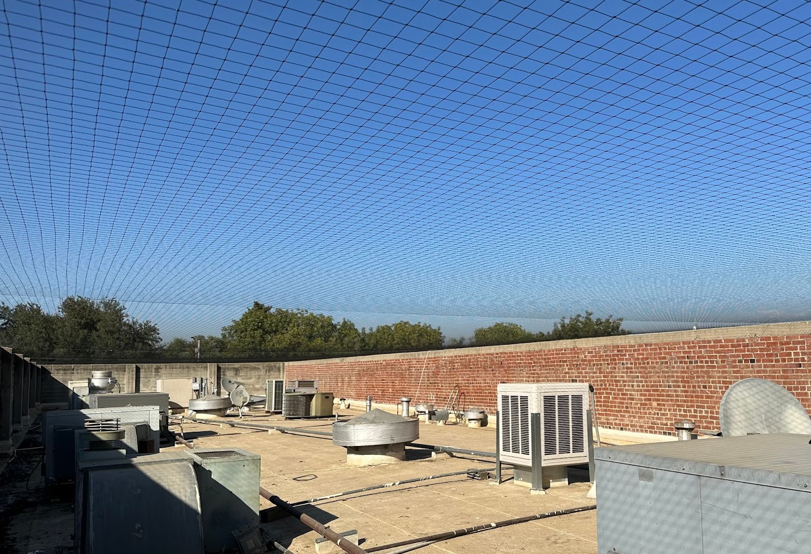 Custom bird netting spanning a commercial rooftop