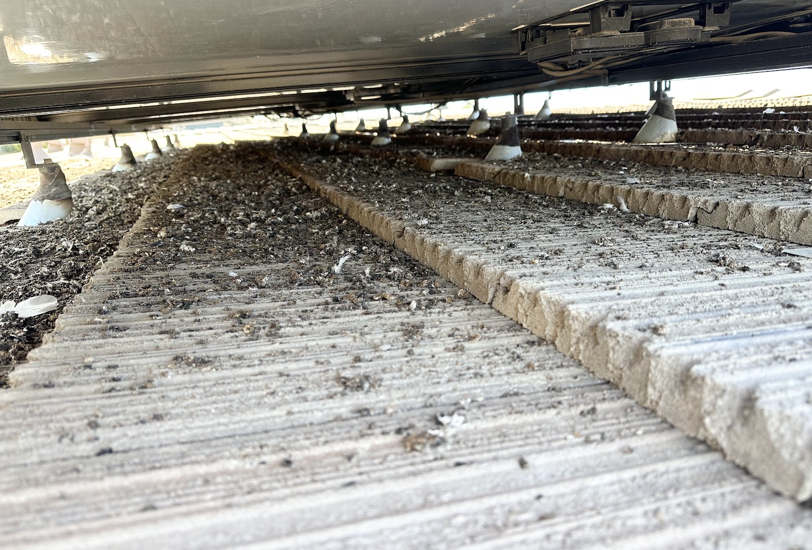 Heavy droppings cleaned out from beneath a solar array